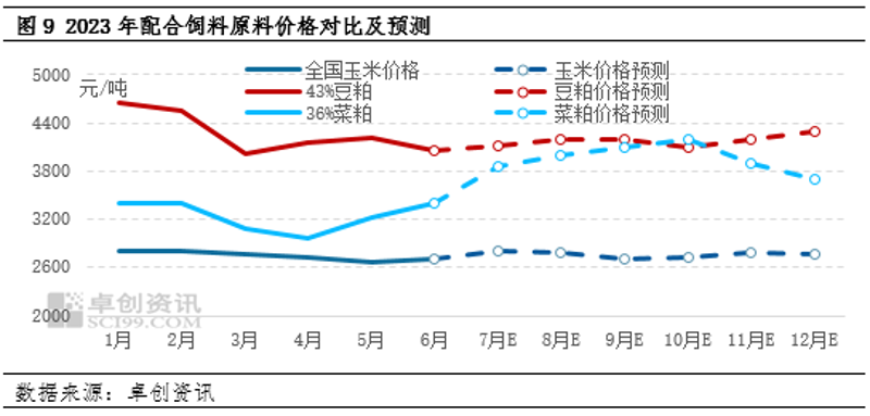 配合饲料与浓缩饲料:2026年养殖增效的终极对决